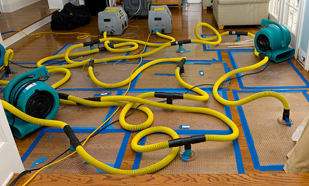 Professional Basement Flood Cleanup technician working in Pflugerville, TX